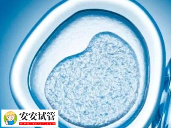 一分钟解读试管婴儿人工周期，含适宜人群、副作用及成功率(图2)