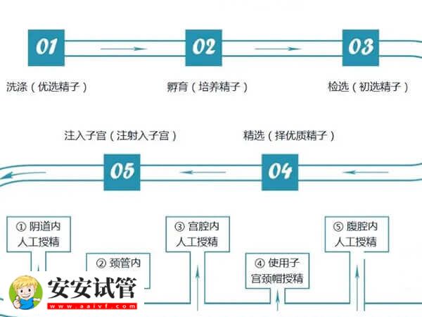 人工授精的流程是怎样(图1)